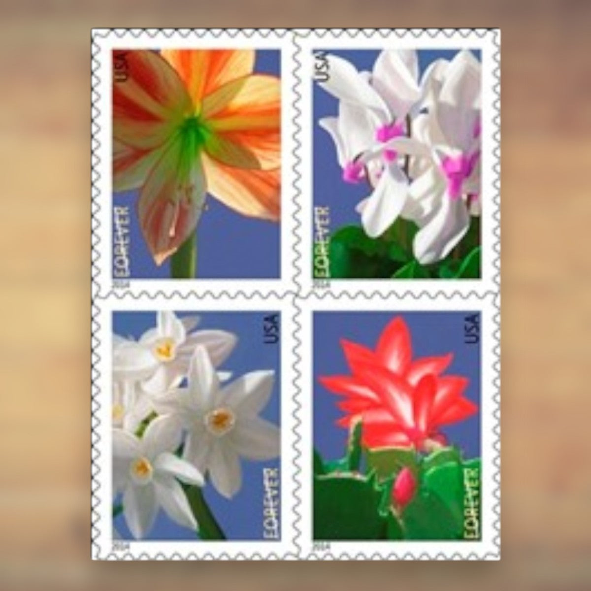 2014 Winter Flowers Forever Postage Stamps Booklet First-Class