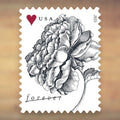 2015 Vintage Rose Forever Postage Stamps Sheet First-Class