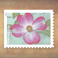 2021 Garden Flowers Forever Postage Stamps Booklet First-Class