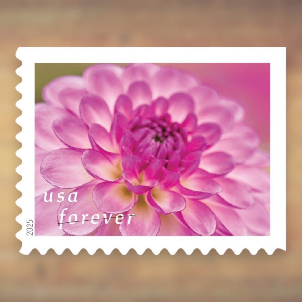 2025 Dahlias Forever Postage Stamps Booklet First-Class