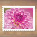 2025 Dahlias Forever Postage Stamps Booklet First-Class